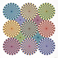Image McGinness Image McGinness