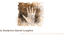 The Daniel Langlois Foundation for Art, Science, and Technology